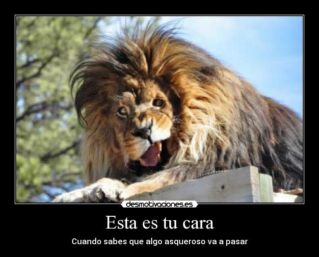 Esta es tu cara - Cuando sabes que algo asqueroso va a pasar