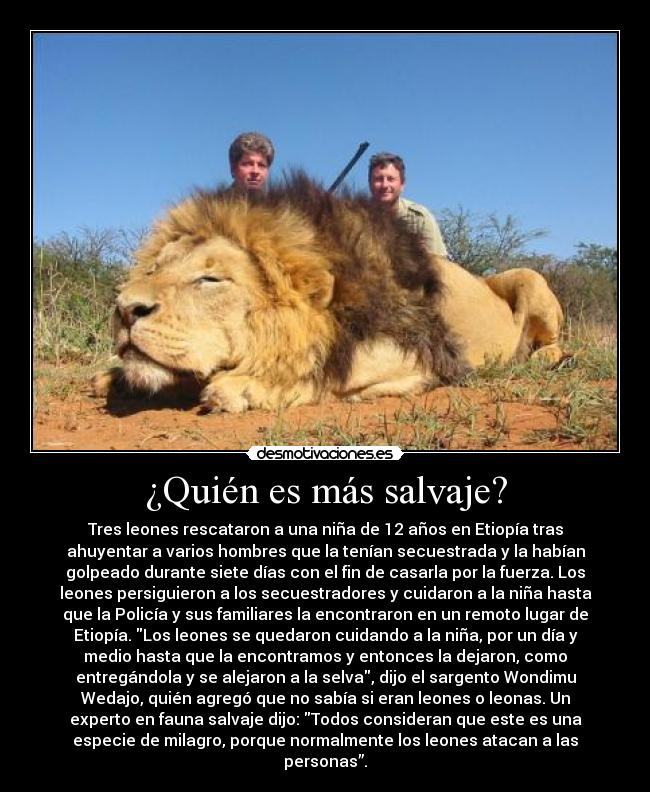 carteles leon milagro animal sociedad desmotivaciones