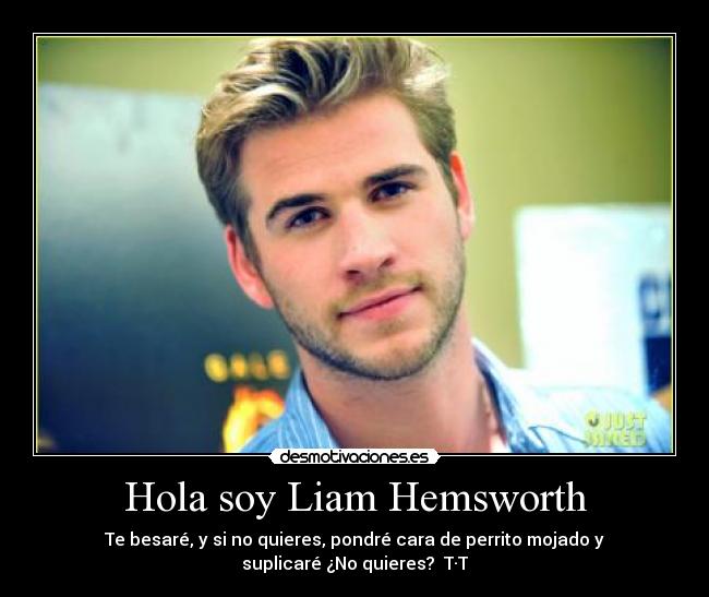 Hola soy Liam Hemsworth - Te besaré, y si no quieres, pondré cara de perrito mojado y
suplicaré ¿No quieres?  T·T