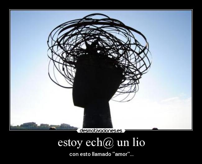 estoy ech@ un lio -