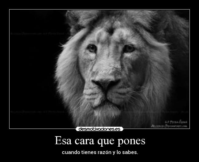 Esa cara que pones - cuando tienes razón y lo sabes.