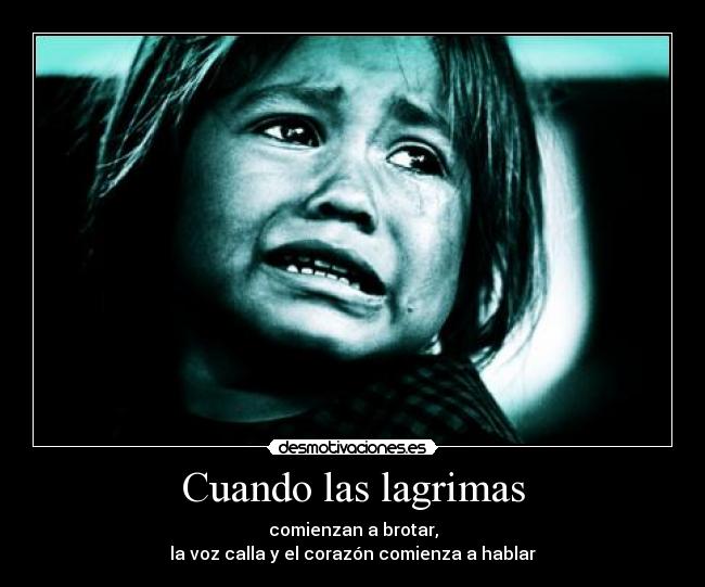 carteles lagrimas desmotivaciones