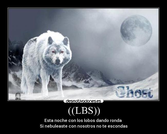 carteles torolovelobo desmotivaciones