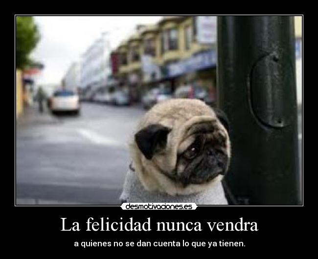 carteles felicidad perrito triste felicidad violo okno desmotivaciones