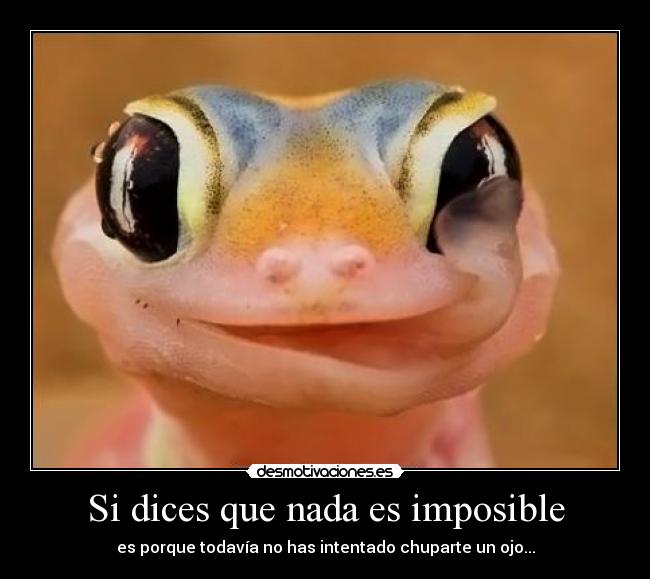 Si dices que nada es imposible - 