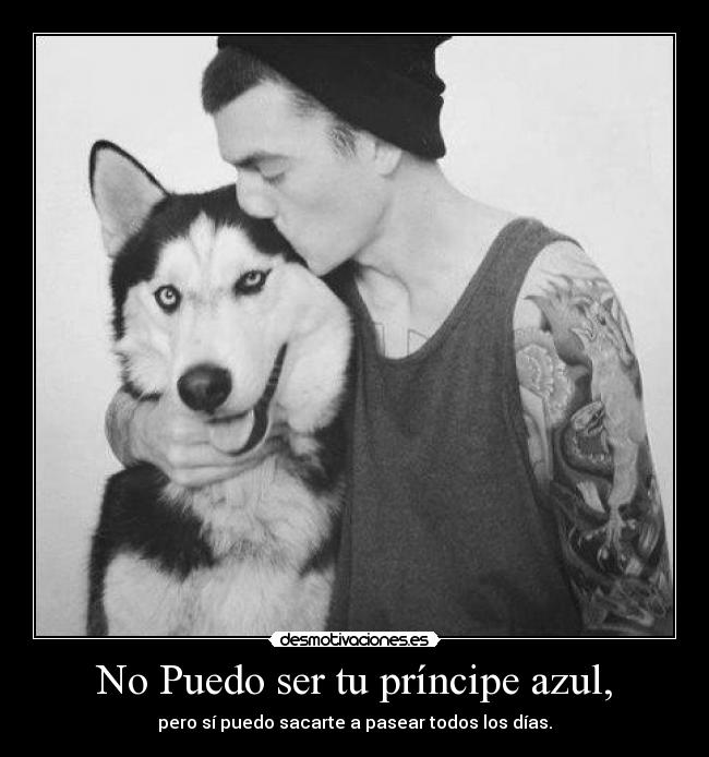No Puedo ser tu príncipe azul, - pero sí puedo sacarte a pasear todos los días.