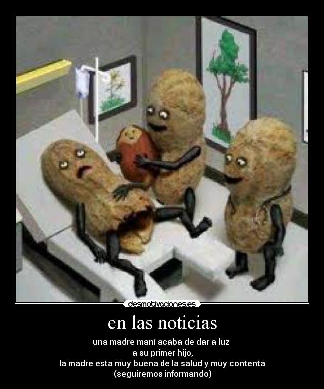 en las noticias - una madre maní acaba de dar a luz
a su primer hijo,
la madre esta muy buena de la salud y muy contenta
(seguiremos informando)