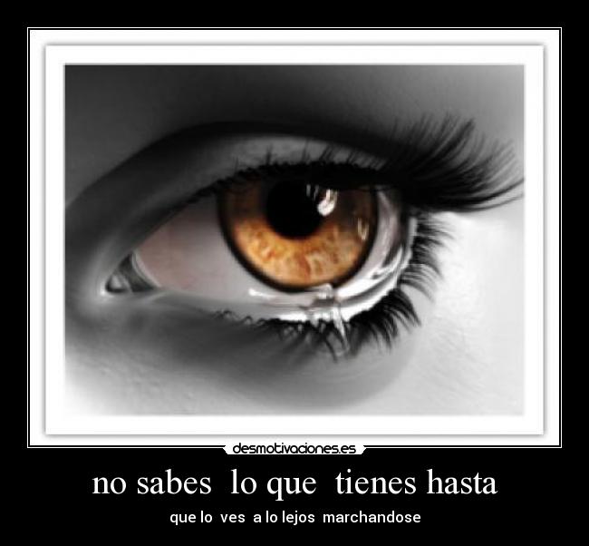 no sabes lo que tienes hasta -