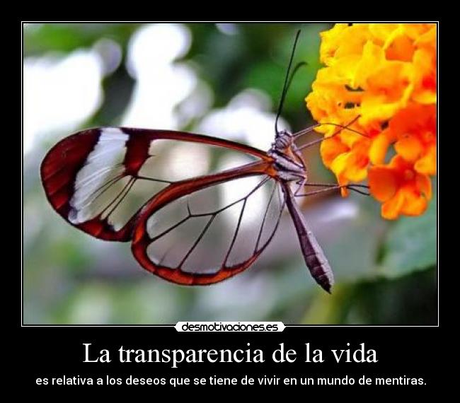 La transparencia de la vida - 