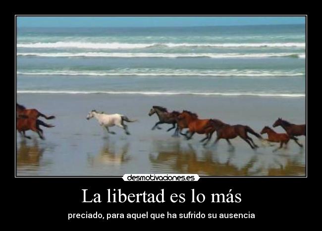 La libertad es lo más - 