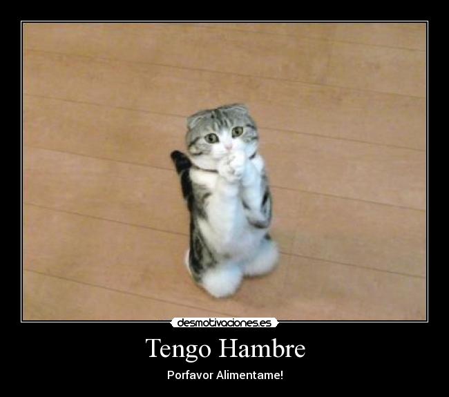 Tengo Hambre -