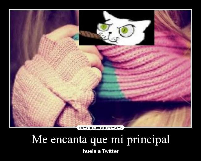 Me encanta que mi principal - huela a Twitter