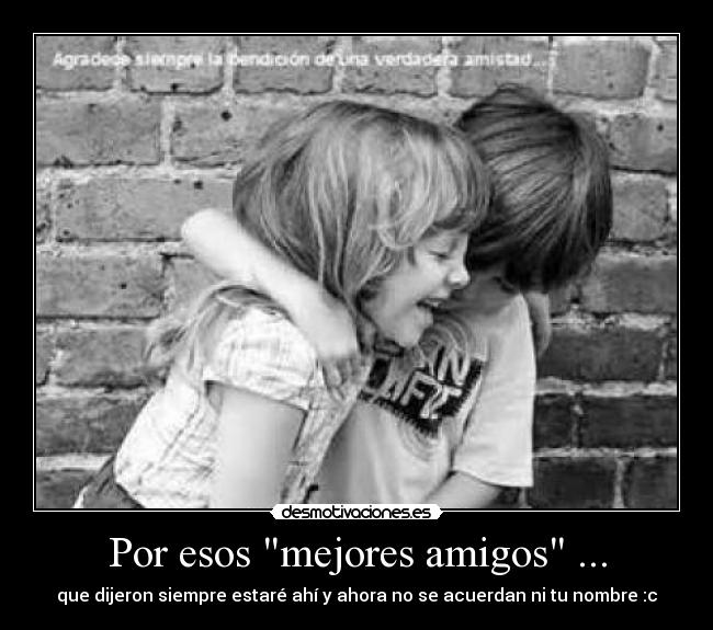 carteles amigos mejores amigos desmotivaciones