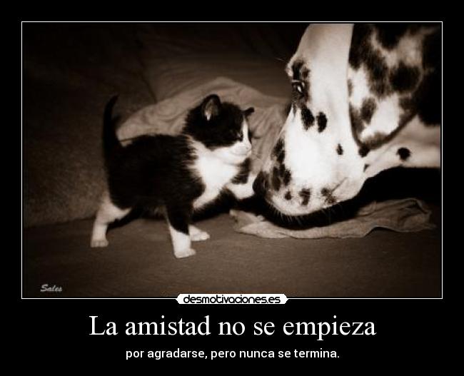 La amistad no se empieza - por agradarse, pero nunca se termina.