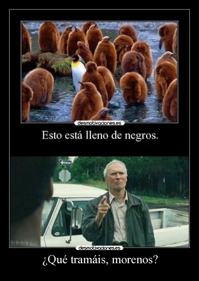 carteles gran torino walt kowalski que tramais morenos clint eastwood ronoa desmotivaciones