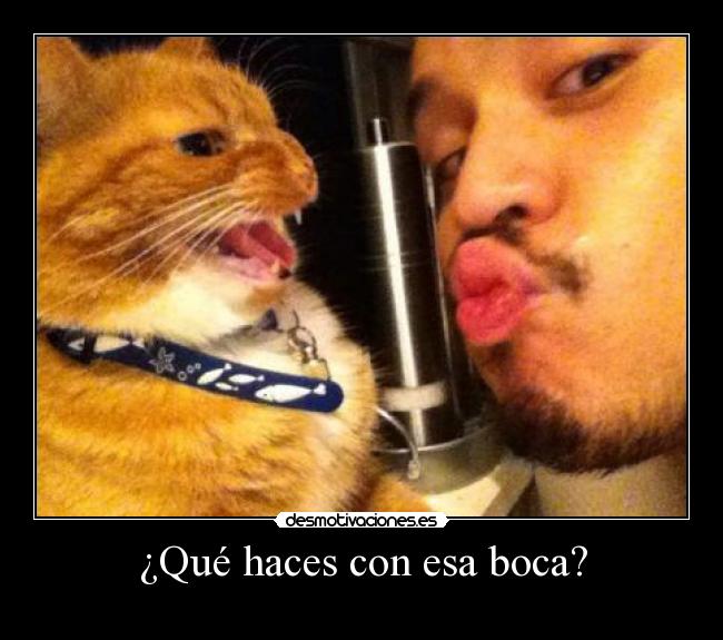 carteles d17pac pacoka desmotivaciones