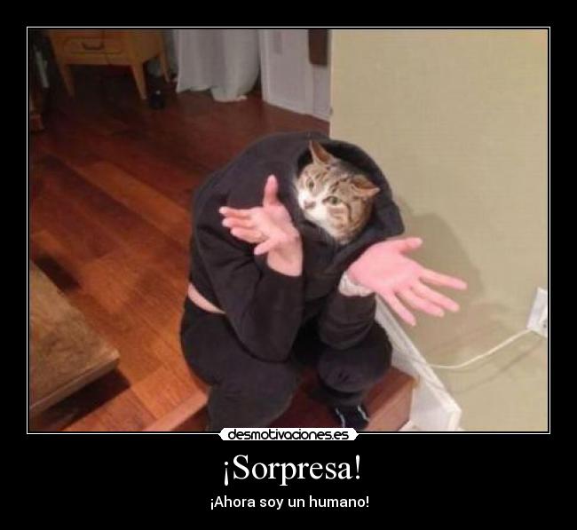 ¡Sorpresa! - 