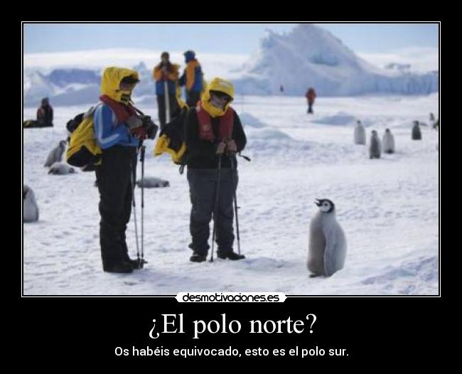 ¿El polo norte? -