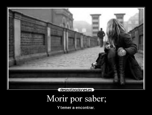 carteles curiosidad desmotivaciones