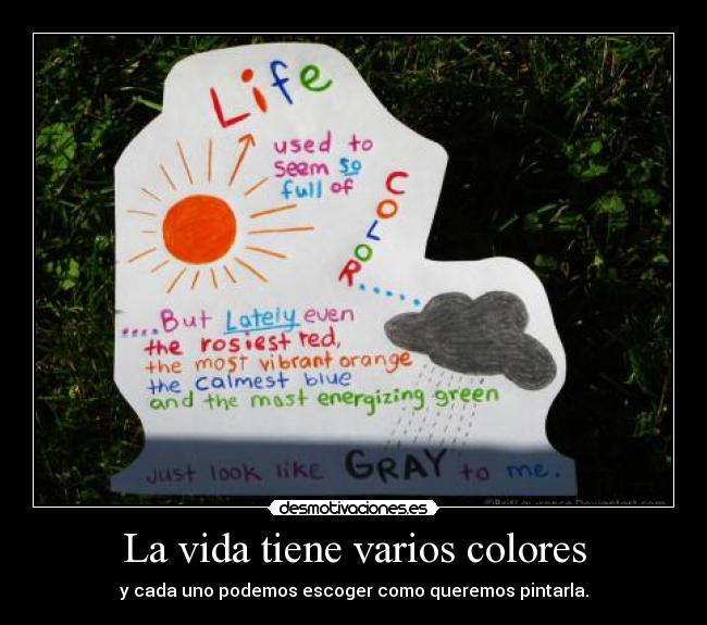 La vida tiene varios colores -