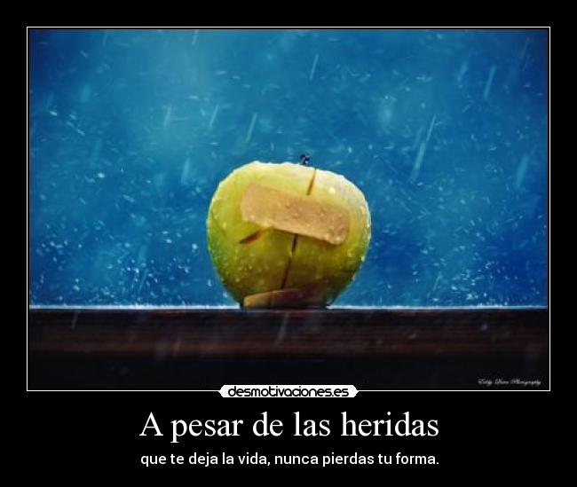 A pesar de las heridas - 