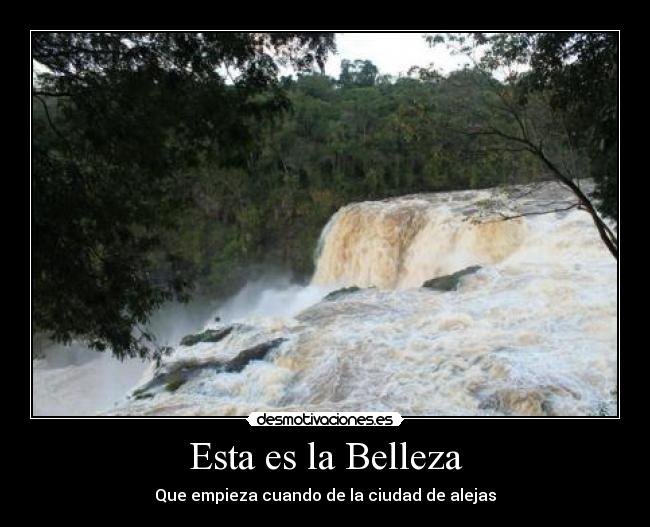 Esta es la Belleza - 