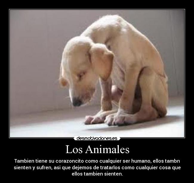 Los Animales -
