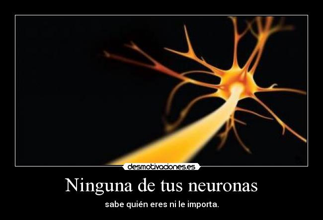 Ninguna de tus neuronas -