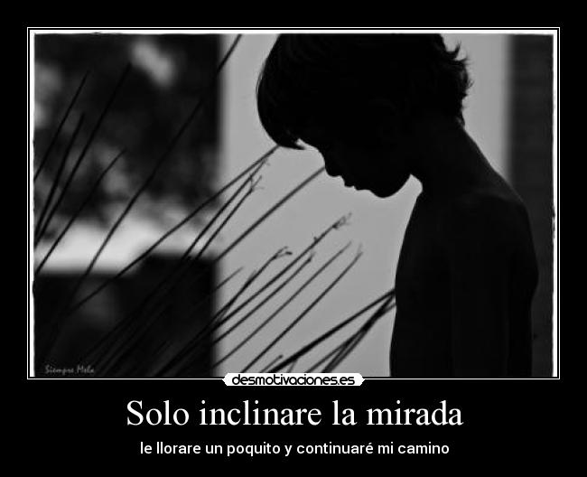 carteles dannaconsentida desmotivaciones