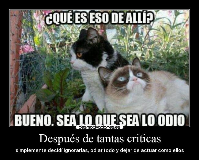 Después de tantas criticas -