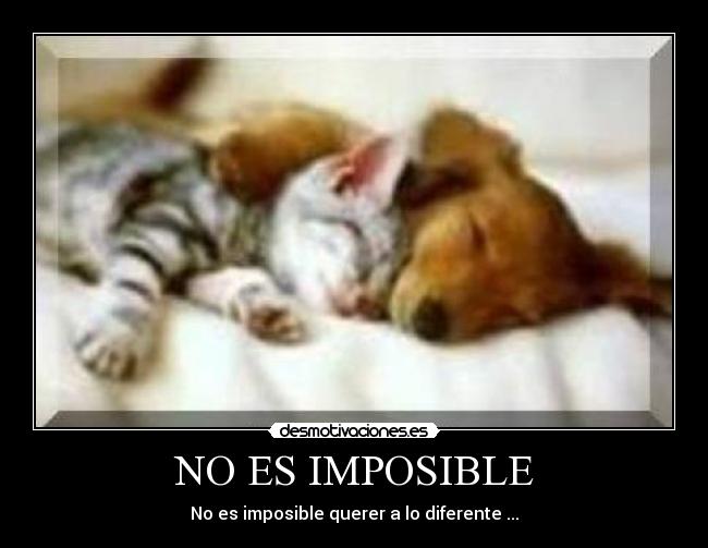 NO ES IMPOSIBLE - No es imposible querer a lo diferente ...