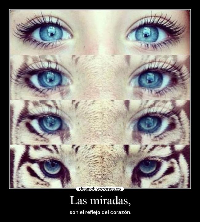 Las miradas, -
