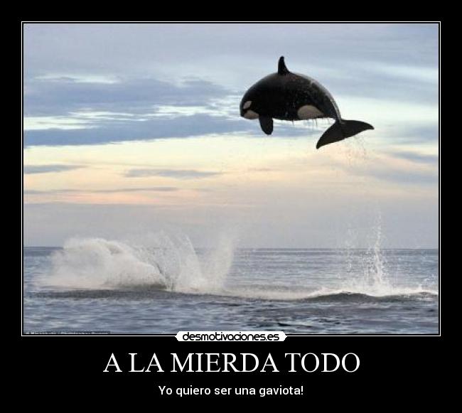 carteles animales desmotivaciones