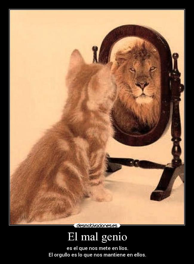 El mal genio - es el que nos mete en líos.
El orgullo es lo que nos mantiene en ellos.