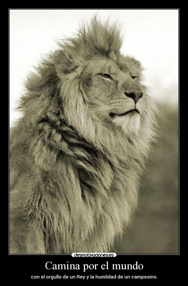 Camina por el mundo - con el orgullo de un Rey y la humildad de un campesino.