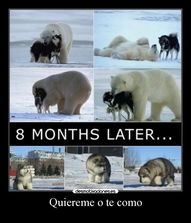 Quiereme o te como -