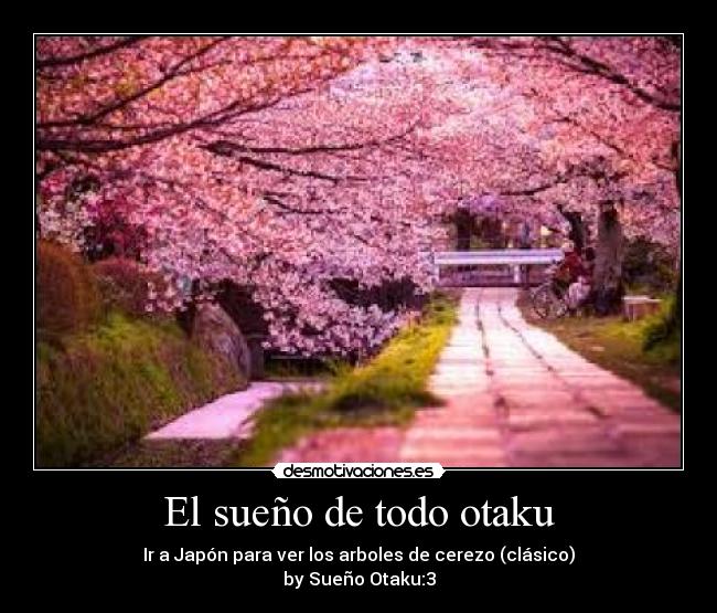 El sueño de todo otaku -