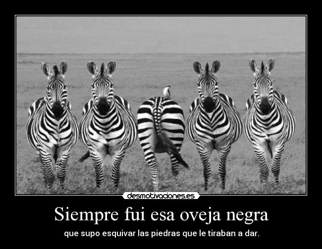 cancion gay oveja negras cancion gay oveja negras
