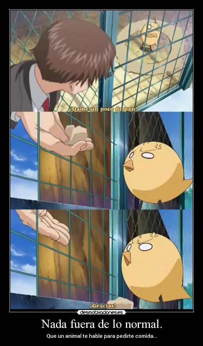 Nada fuera de lo normal. -