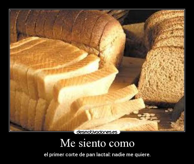 carteles siento como desmotivaciones