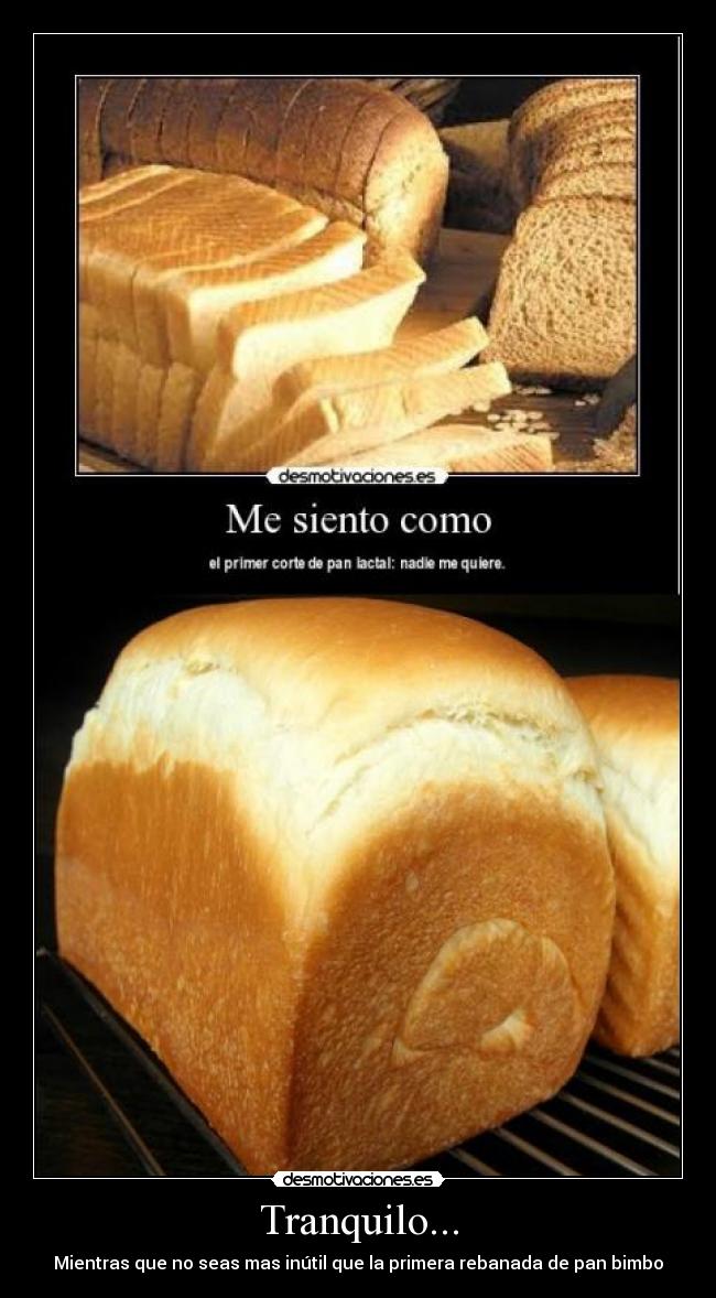 Tranquilo... - Mientras que no seas mas inútil que la primera rebanada de pan bimbo