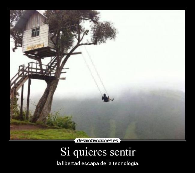 Si quieres sentir -
