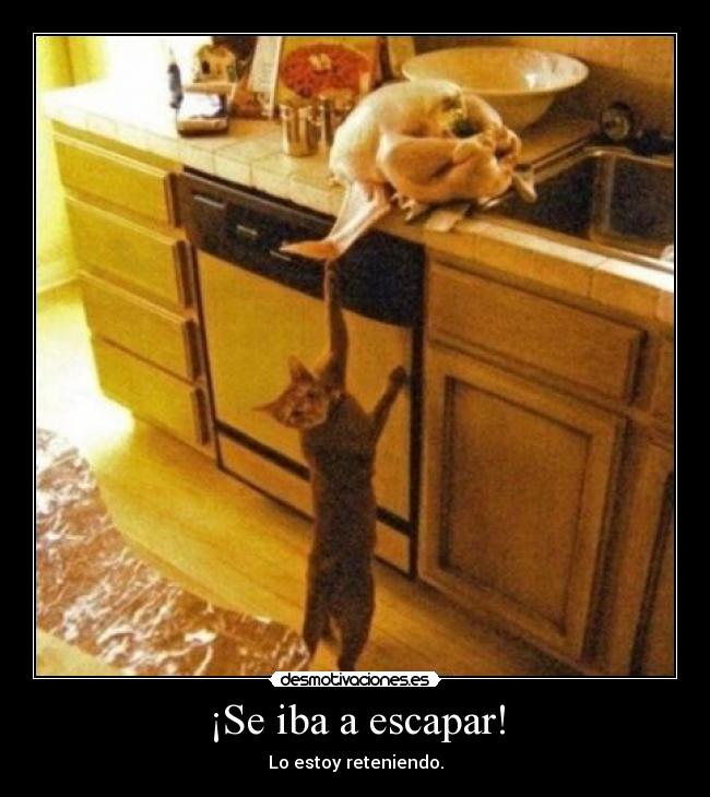 ¡Se iba a escapar! - 