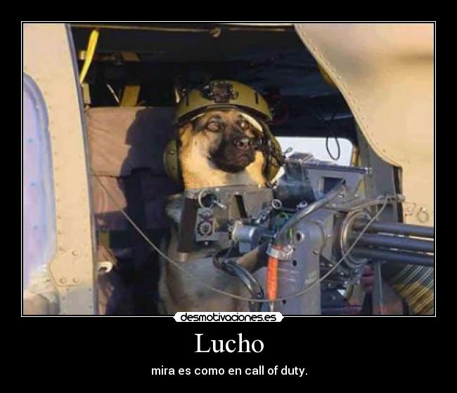 Lucho - 