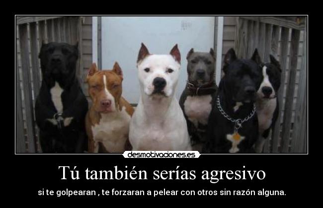 Tú también serías agresivo - 