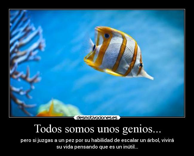 Todos somos unos genios... - 