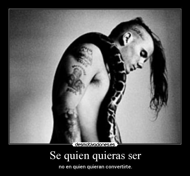 carteles ser quien quieras ser phil anselmo pantera down desmotivaciones