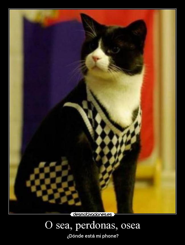 O sea, perdonas, osea - 