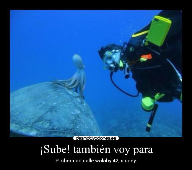 ¡Sube! también voy para -