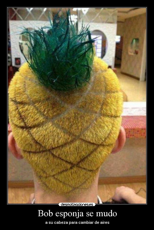 Bob esponja se mudo -